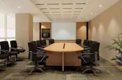 设计办公室装修,会议室实拍