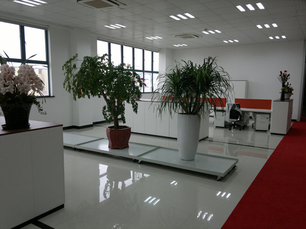 松江办公室装修装饰,植物盆景陈设图片
